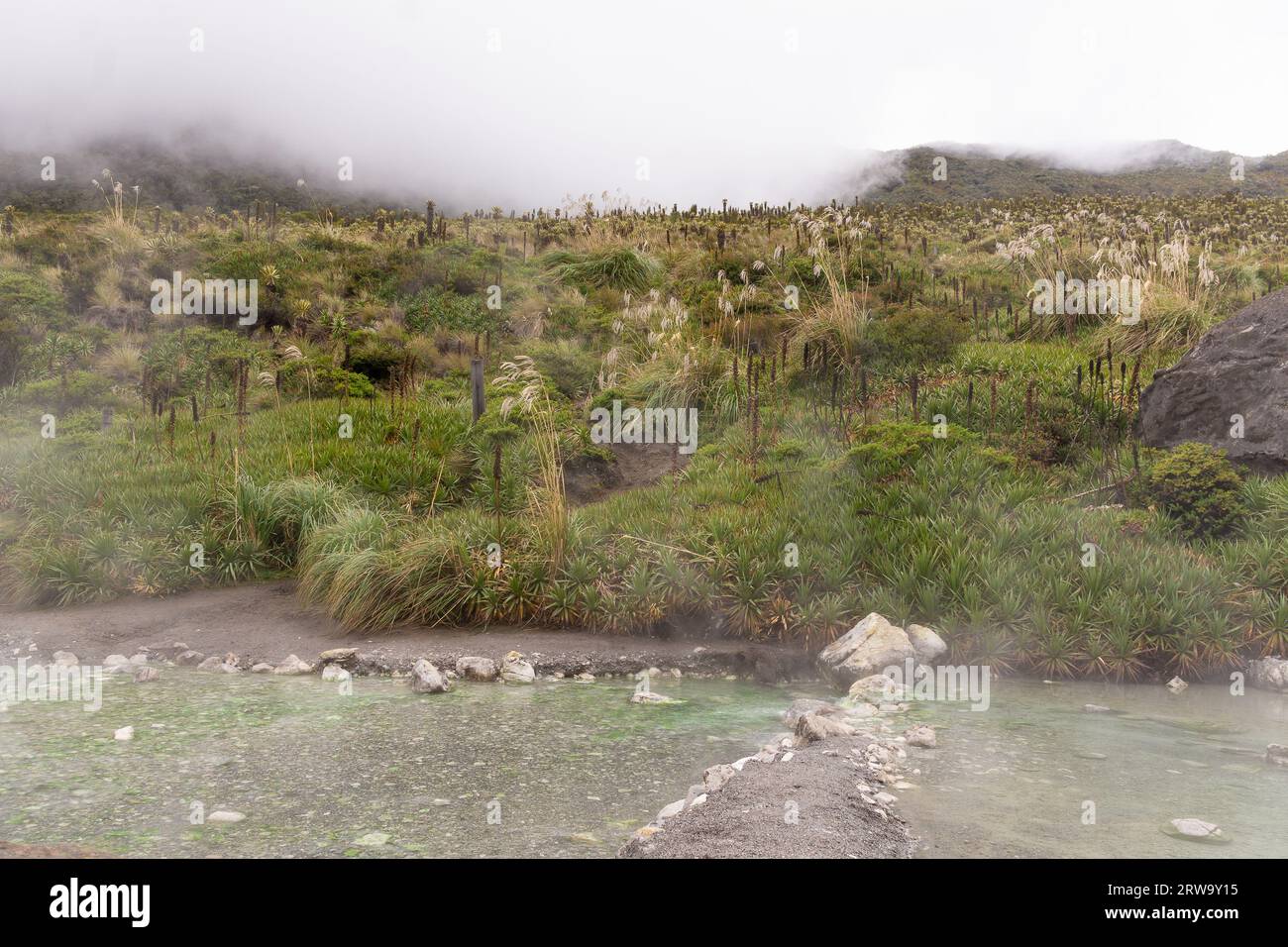 Sorgenti termali nel Parco Nazionale di Los Nevados nella Cordillera centrale delle Ande colombiane. Foto Stock