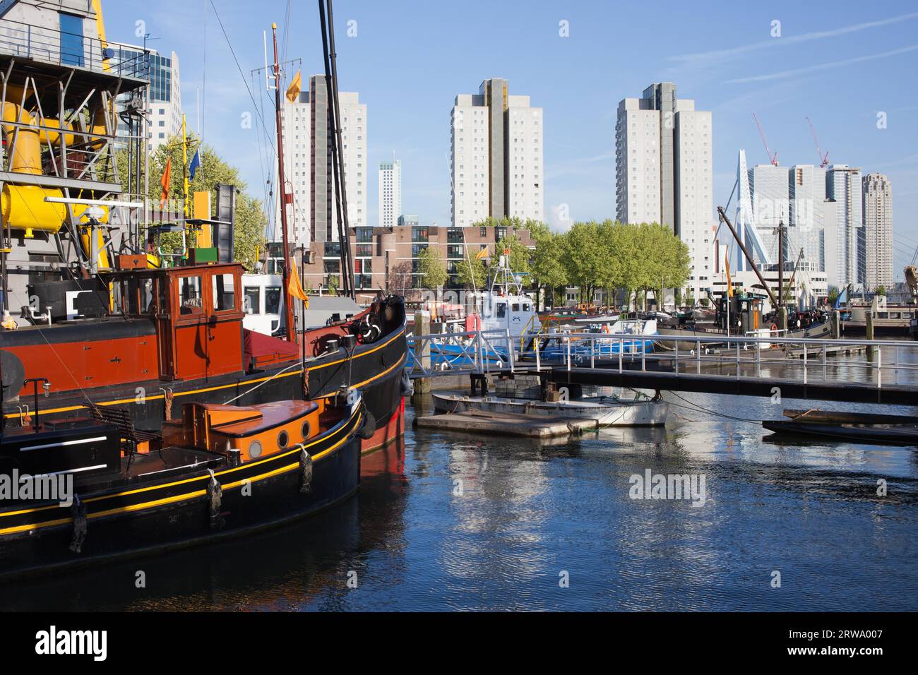 Edifici portuali e appartamenti nel centro della città di Rotterdam, Paesi Bassi Foto Stock