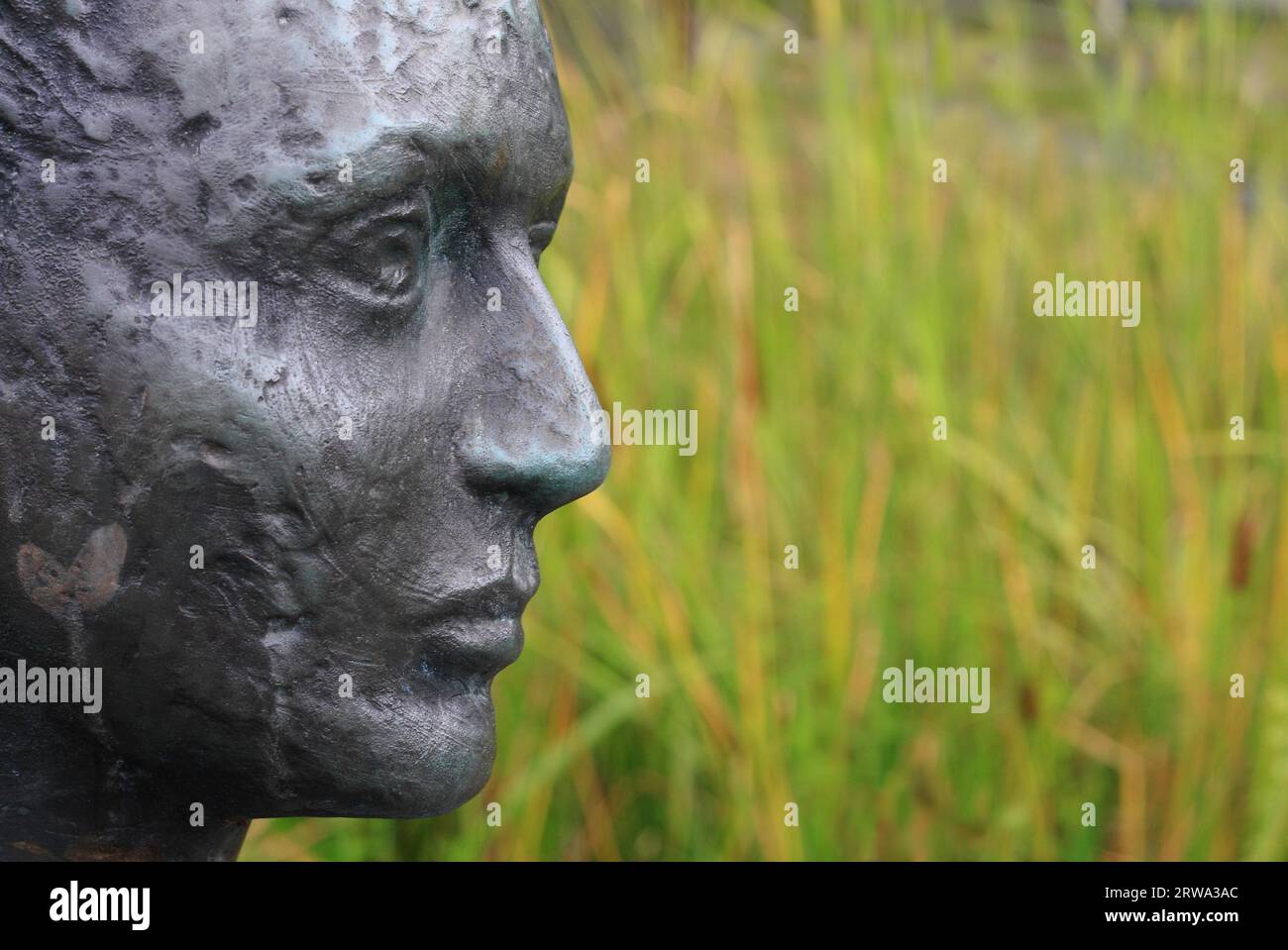 Ritratto femminile laterale di una scultura, scattata con profondità di campo, paesaggio di sfondo Foto Stock