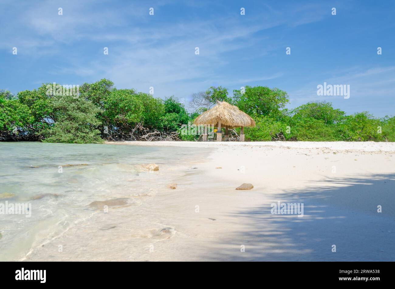 Guardando attraverso gli alberi di mangrovie in Mangel Halto beach ad Aruba Foto Stock