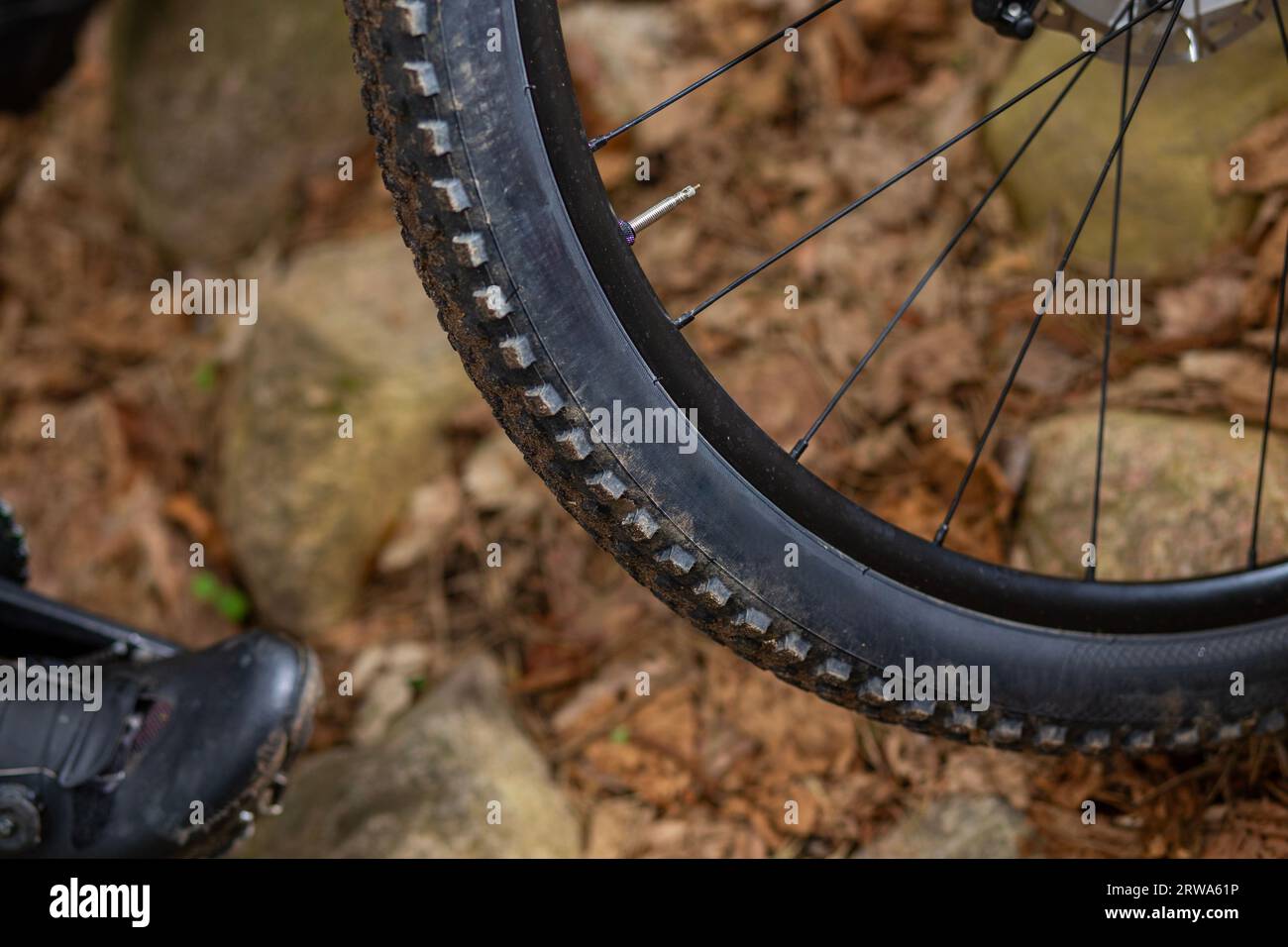 Dettaglio di uno pneumatico per mountain bike con una parete laterale leggermente fangosa su una superficie rocciosa. Spazio per la copia del marchio o del logo. Foto Stock