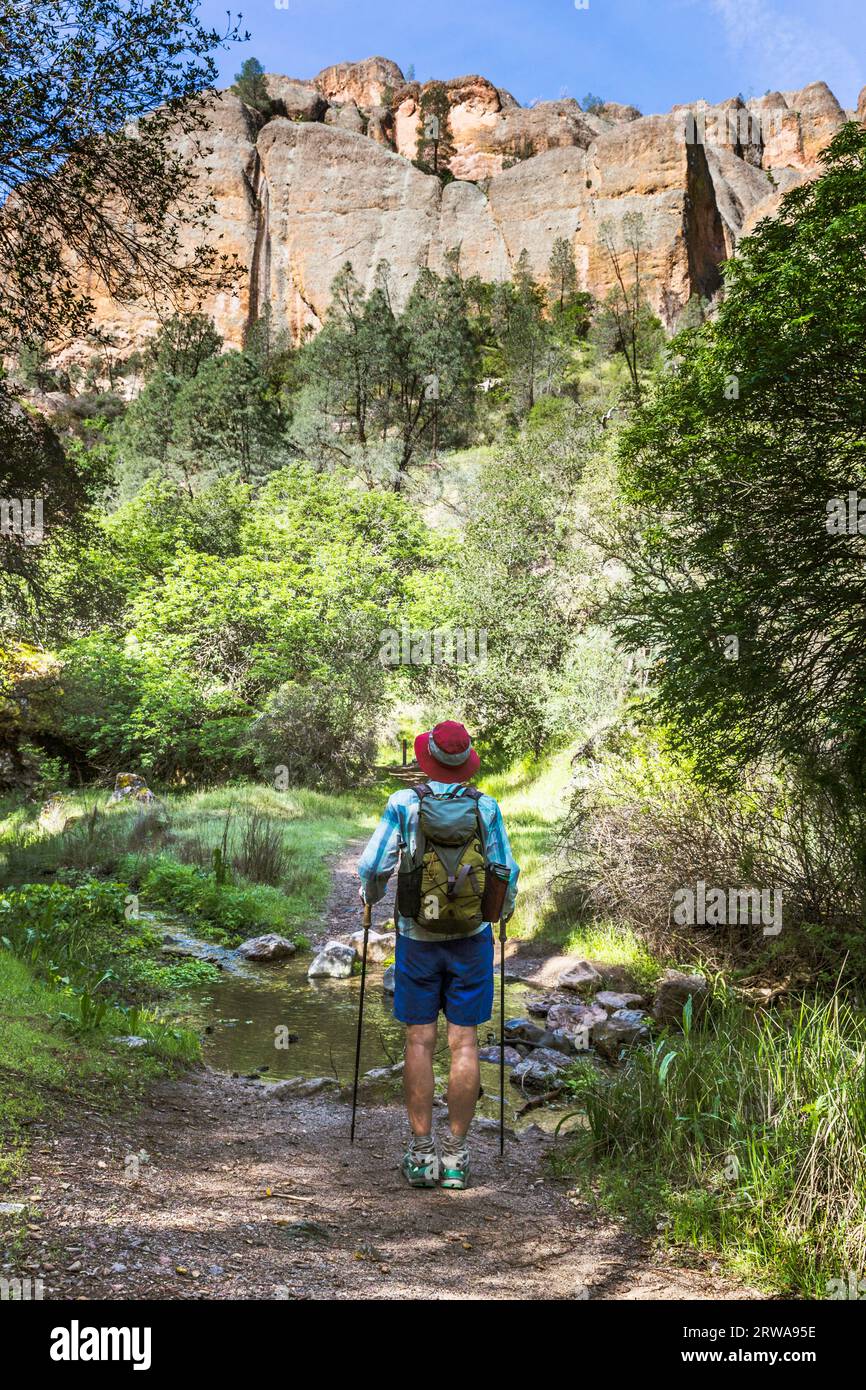 Vista posteriore di un'escursionista sul sentiero Old Pinnacles Trail. Foto Stock