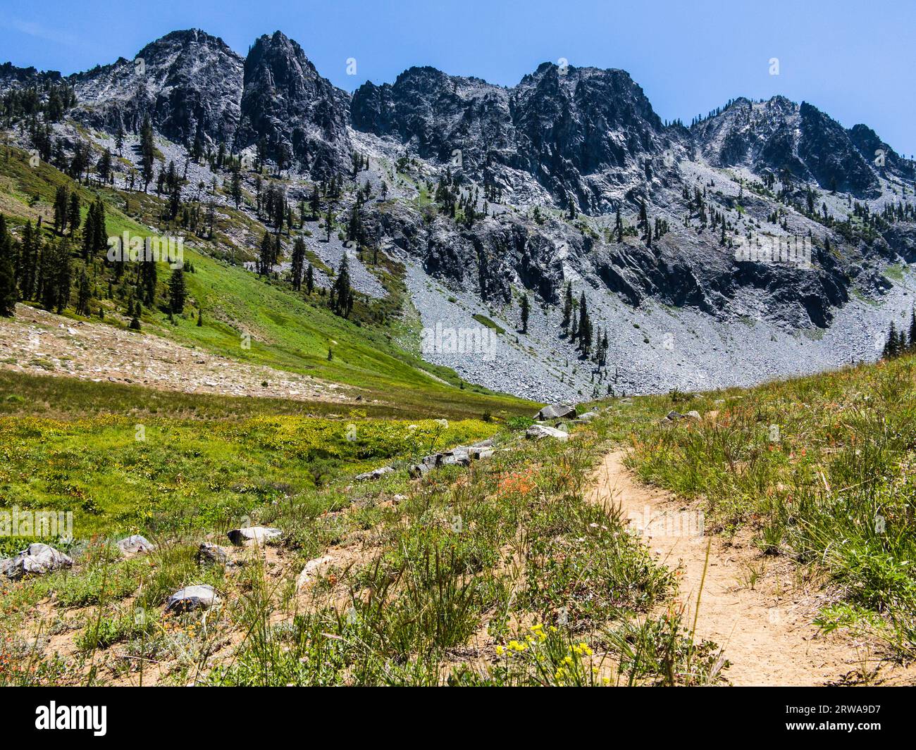 Il sentiero attraverso il Long Canyon nella Trinity Alps Wilderness di 517.000 acri. Foto Stock