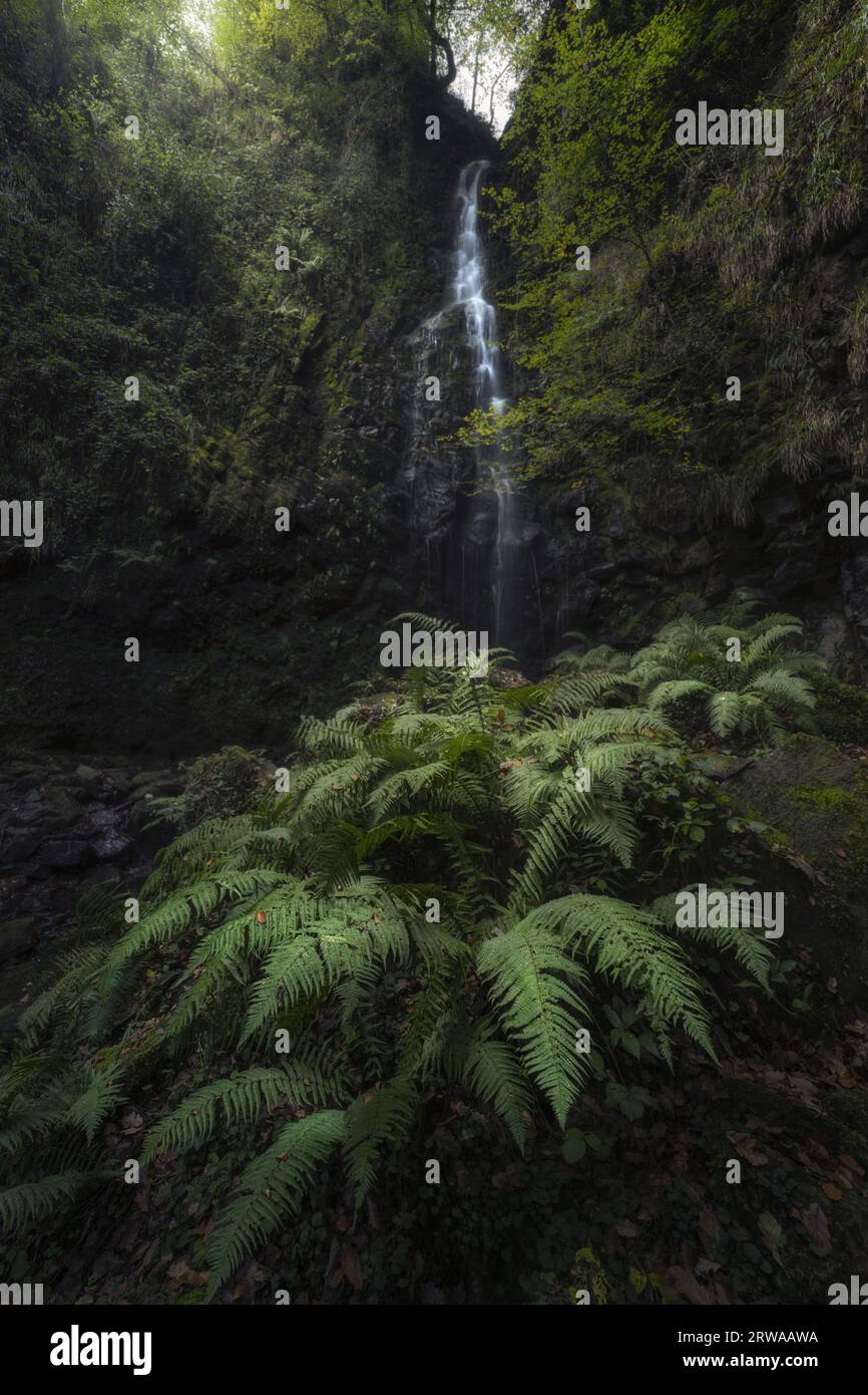 La famosa cascada del Pais vasco Foto Stock