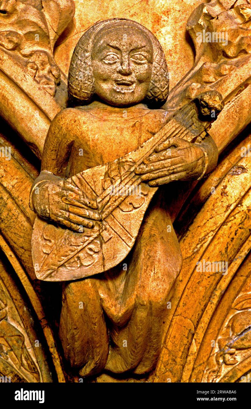 Beverley Minster, scultura medievale, musicista in pietra intagliata, musica, musical, strumento a corde, Yorkshire, Inghilterra Foto Stock