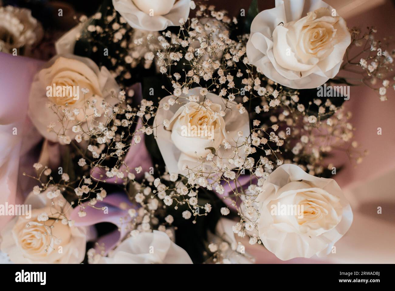 Rose di colore morbido su sfondo bouquet Foto Stock