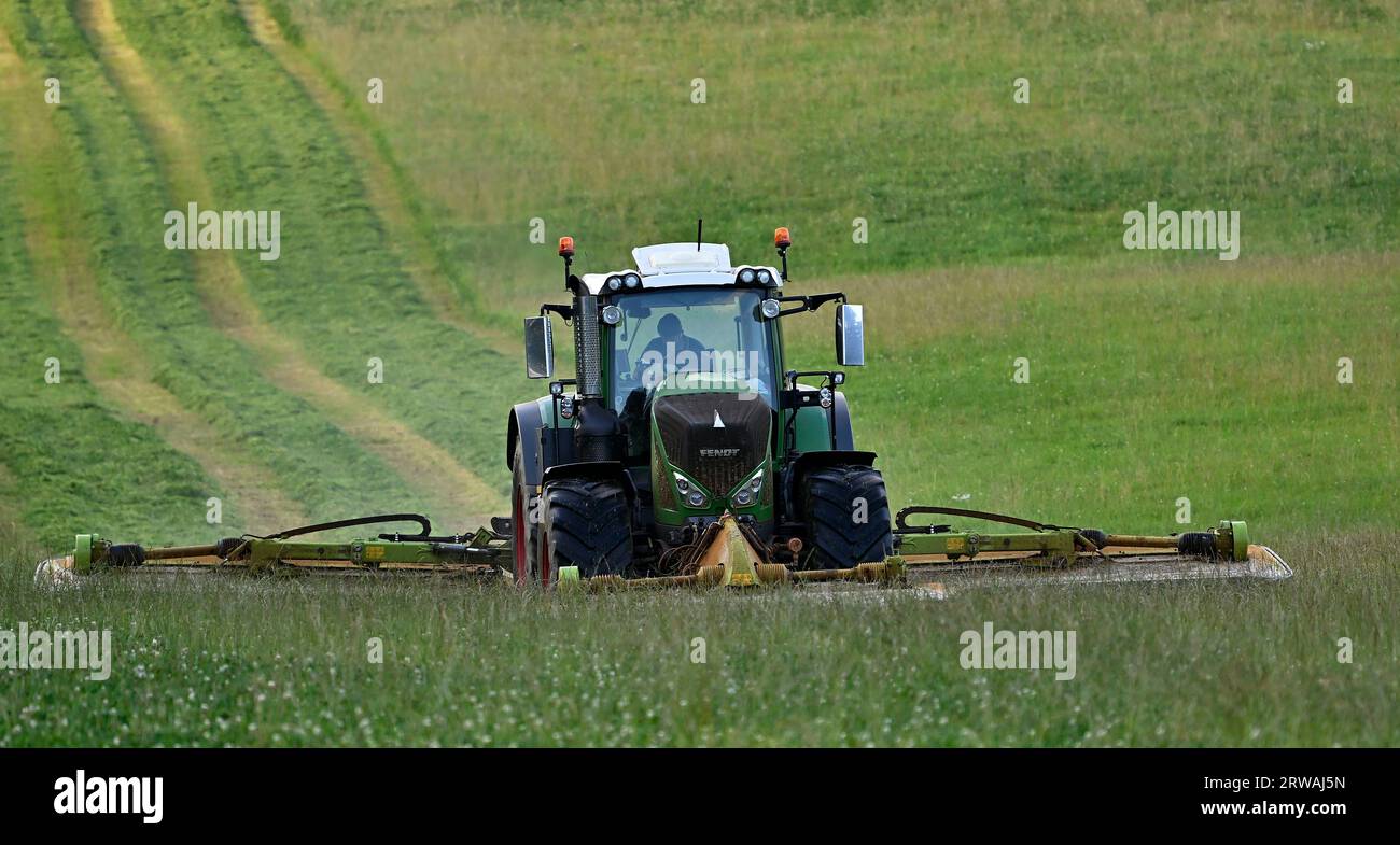 Trattore sul campo per tagliare l'erba per insilato. Foto Stock