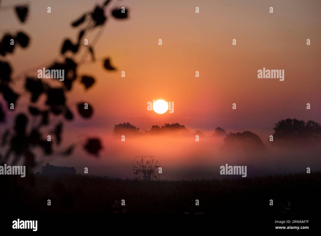 Nebbia mattutina all'alba sopra i terreni agricoli, sagoma di macchinari agricoli, paesaggio rurale all'alba idilliaca. Foto Stock