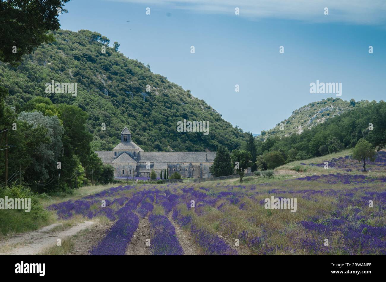 Abbaye Notre-dame de Sénanque Foto Stock