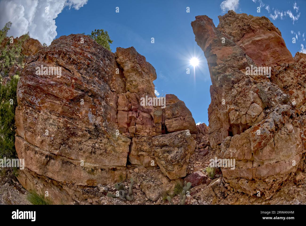 Formazioni rocciose, Navajo Point, Grand Canyon National Park, Arizona, Stati Uniti Foto Stock