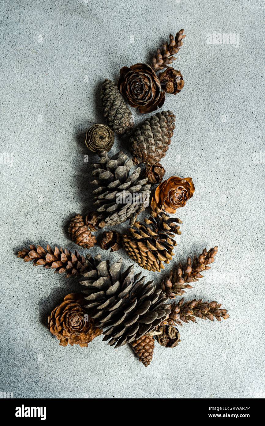 Pineconi assortiti disposti su un tavolo nella vergogna di un albero di Natale Foto Stock