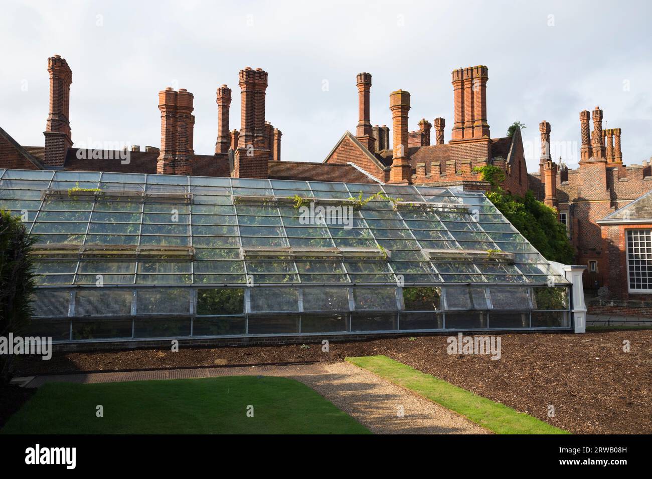 Serra contenente il Great Vine nel giardino dell'Hampton Court Palace a Richmond upon Thames, Londra. REGNO UNITO. È la vite più grande del mondo. Il sistema radice è all'esterno della casa di vetro. (135) Foto Stock