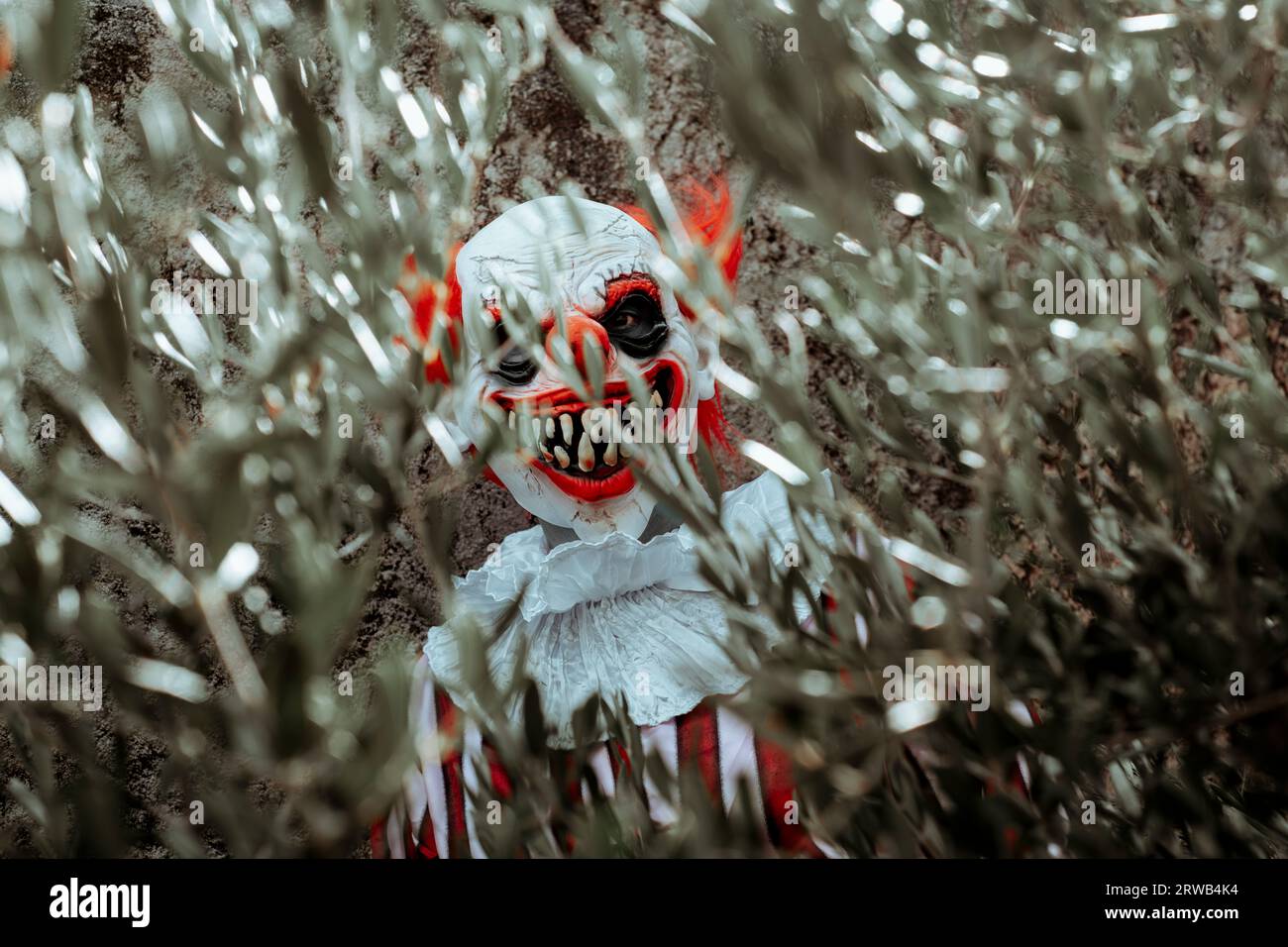 un pazzo pagliaccio rosso sta fissando l'osservatore con un sorriso raccapricciante nascosto dietro i rami di un albero, di fronte a una vecchia casa Foto Stock