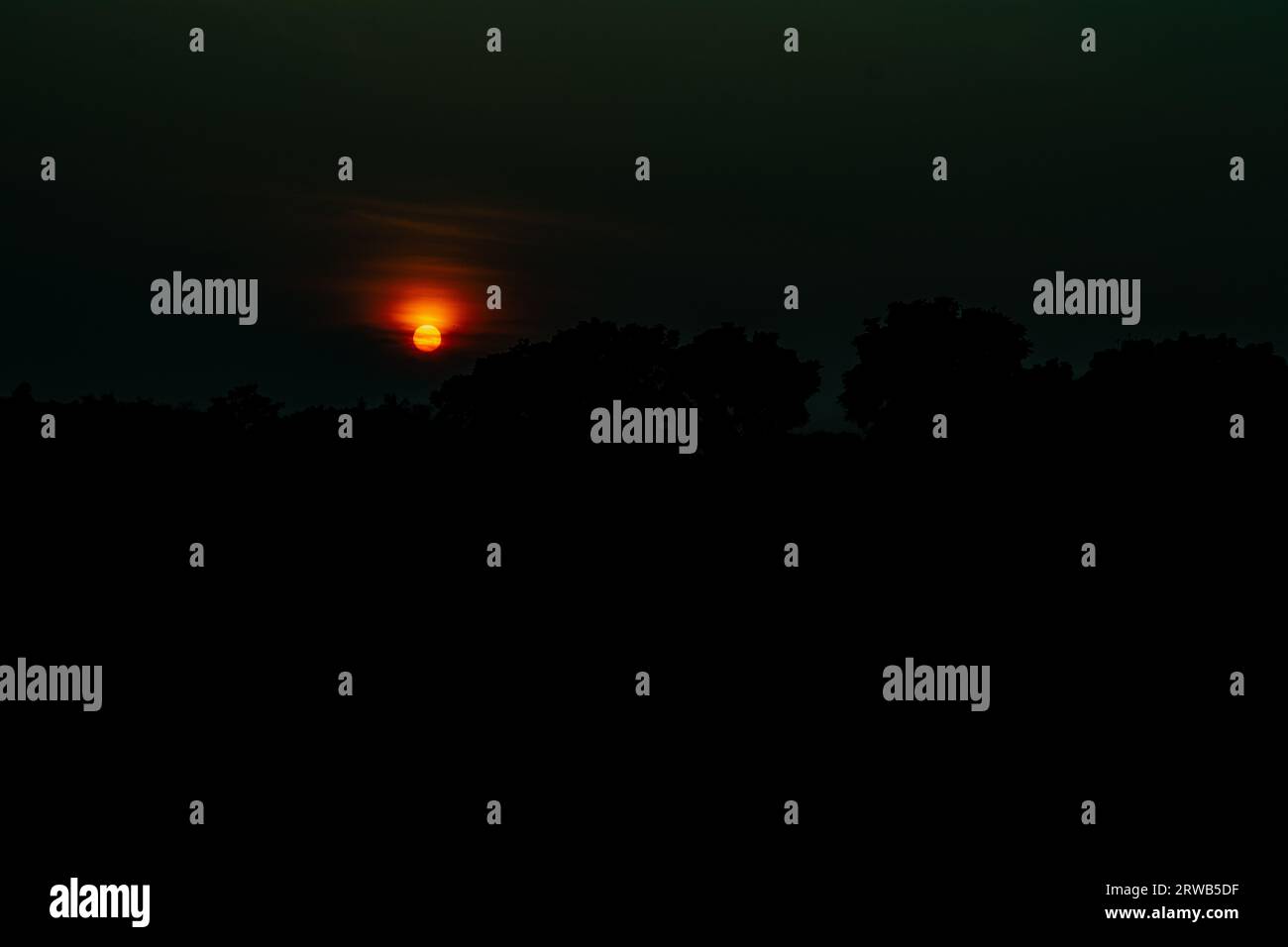 Il tramonto sugli alberi è l'ora serale in cui il sole scompare dal cielo. Il crepuscolo civile serale inizia al tramonto. Sunse Foto Stock