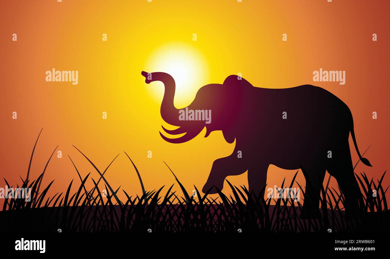 Una figura vettoriale con silhouette elefante nel pomeriggio Illustrazione Vettoriale