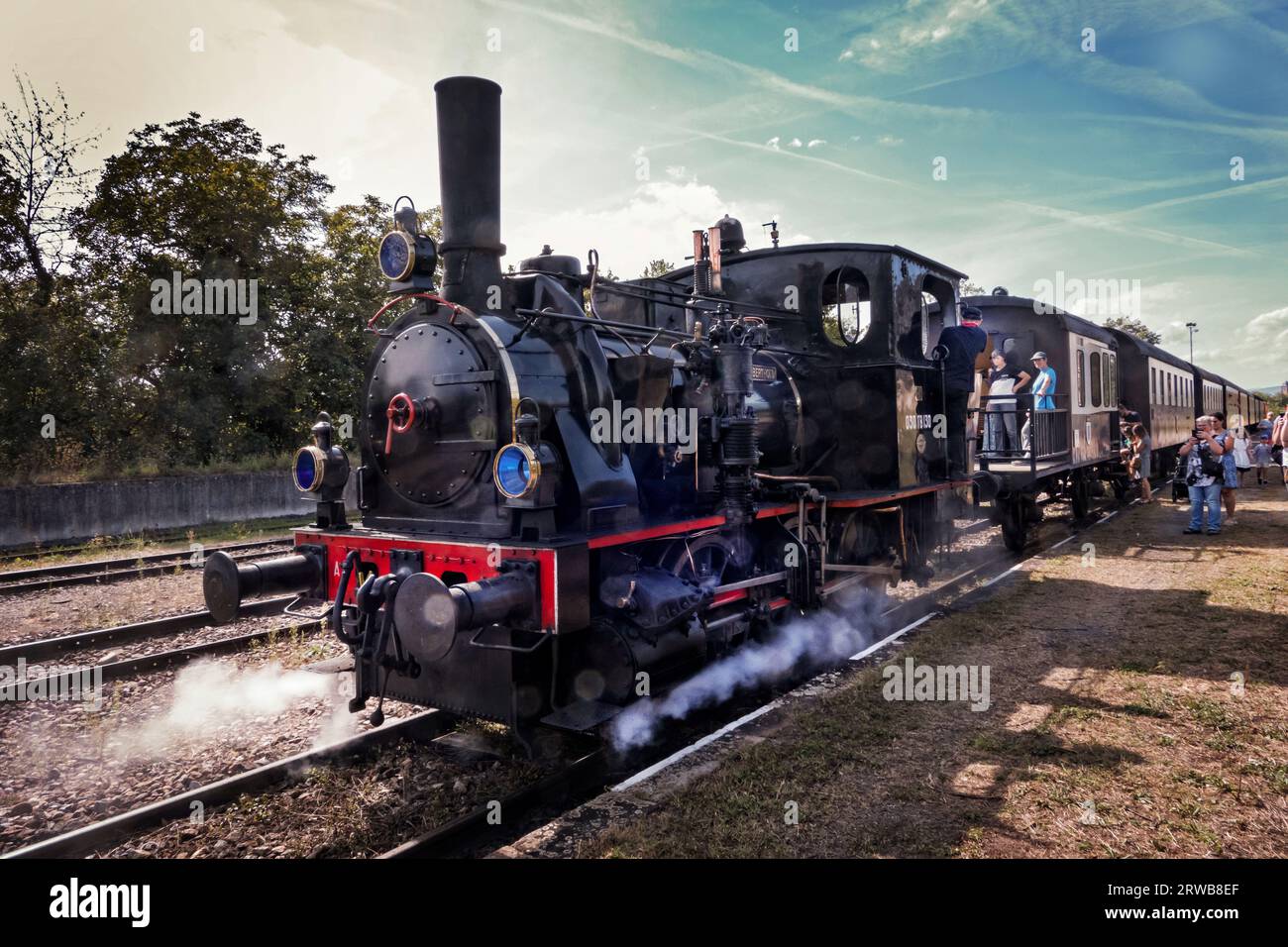 Tank Engine Bertold lavora sulla ferrovia storica Chemin De Fer Touristique Du Rhin a Vogelsheim in Francia Foto Stock