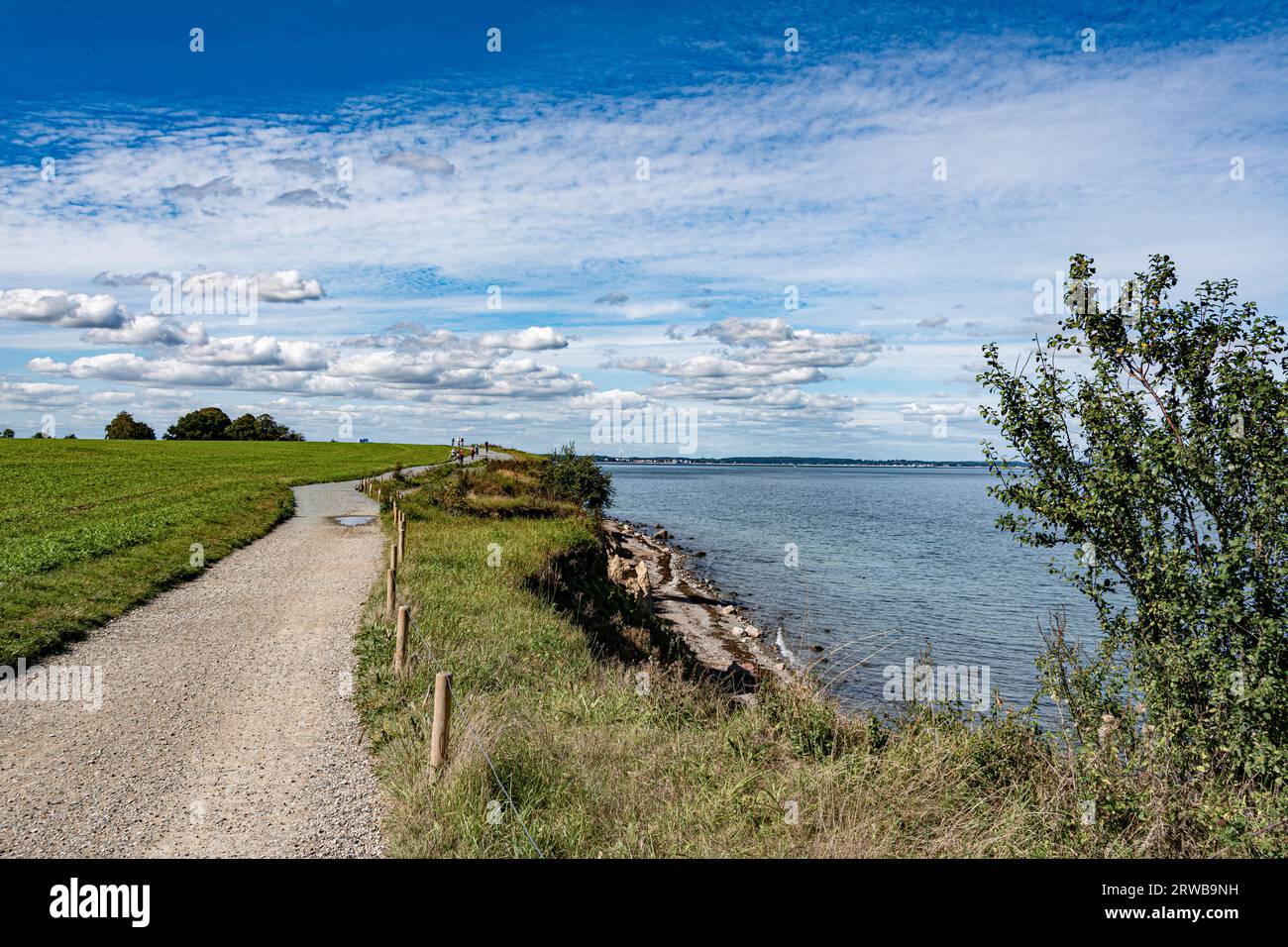 Brodtener Steilküste oberhalb ,wander und Radweg von grünem Rasen begrenzt, eine parallela Reihe niedriger Holzpfosten als Zaun. Foto Stock