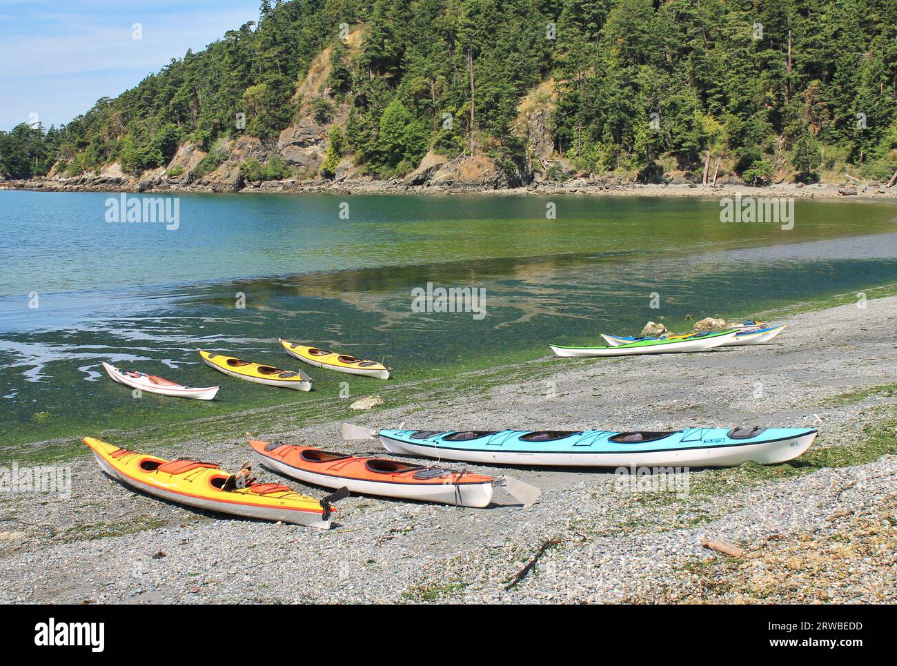 I kayak colorati con la bassa marea su una costa rocciosa attendono i pagaiatori per un'escursione estiva sulle calme acque dello stretto di Puget nel nord-ovest del Pacifico Foto Stock