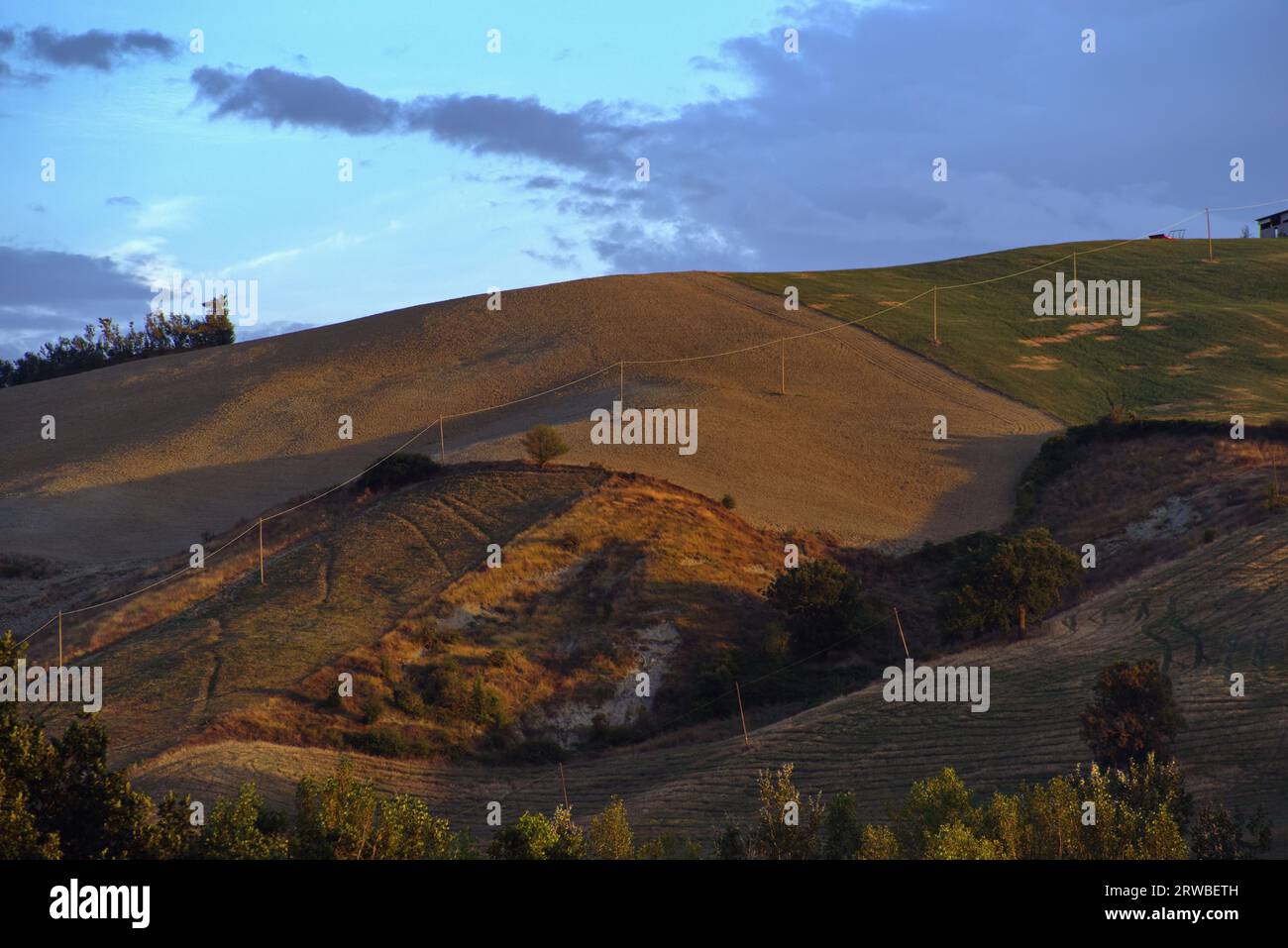 luce radente su un campo arato Foto Stock
