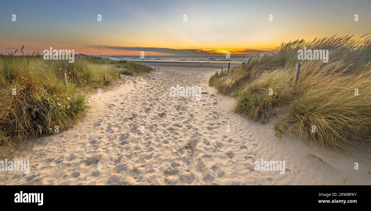 Vista panoramica della duna di sabbia sulla costa del mare del Nord al tramonto vicino Wijk aan Zee, provincia Noord Holland, Paesi Bassi. Paesaggio scena di europeo n Foto Stock