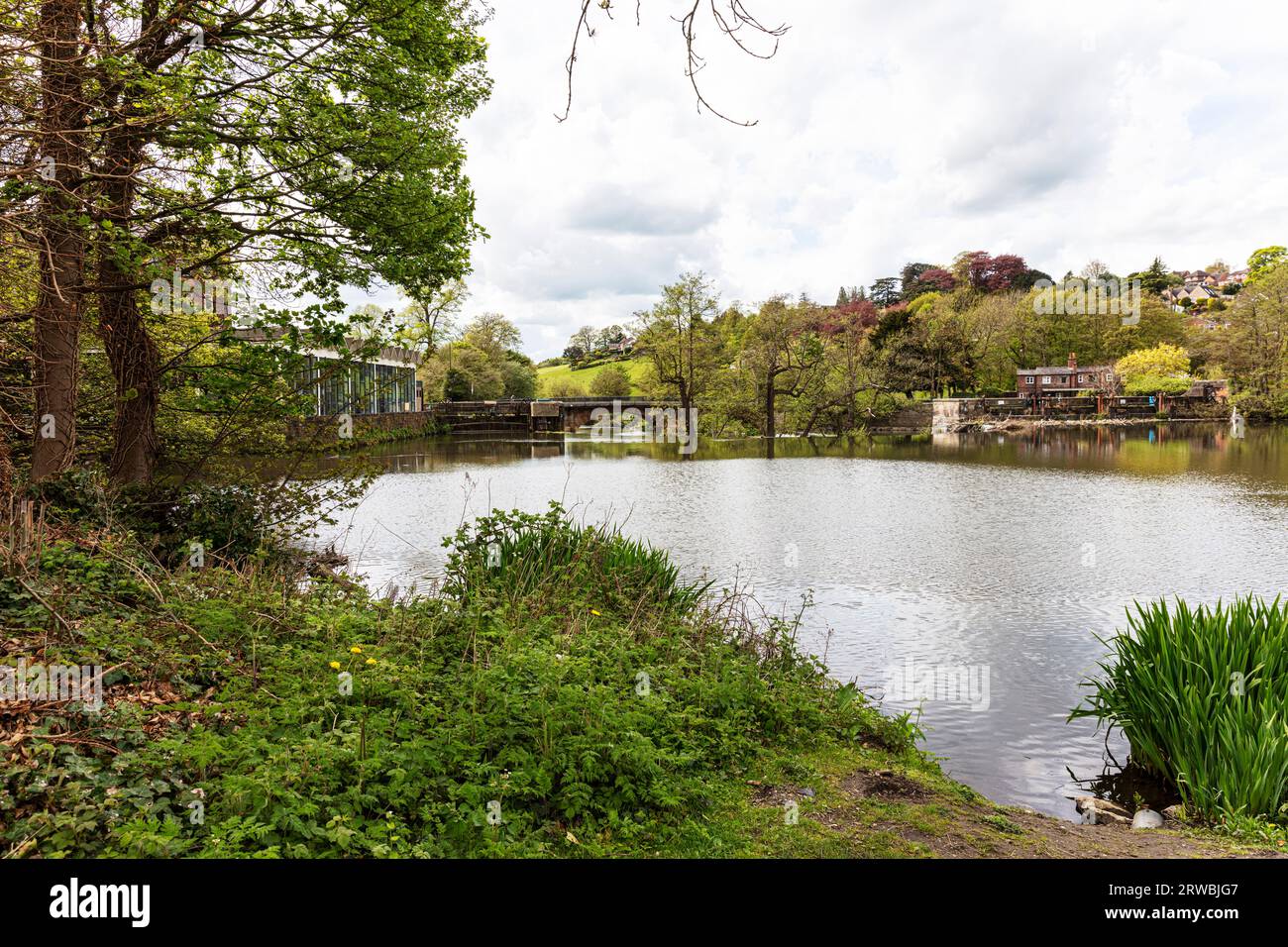 Il fiume Derwent a Belper, Belper, Derbyshire, Peak District, Inghilterra, Regno Unito, fiume Derwent, fiume, fiumi, riva del fiume, Foto Stock