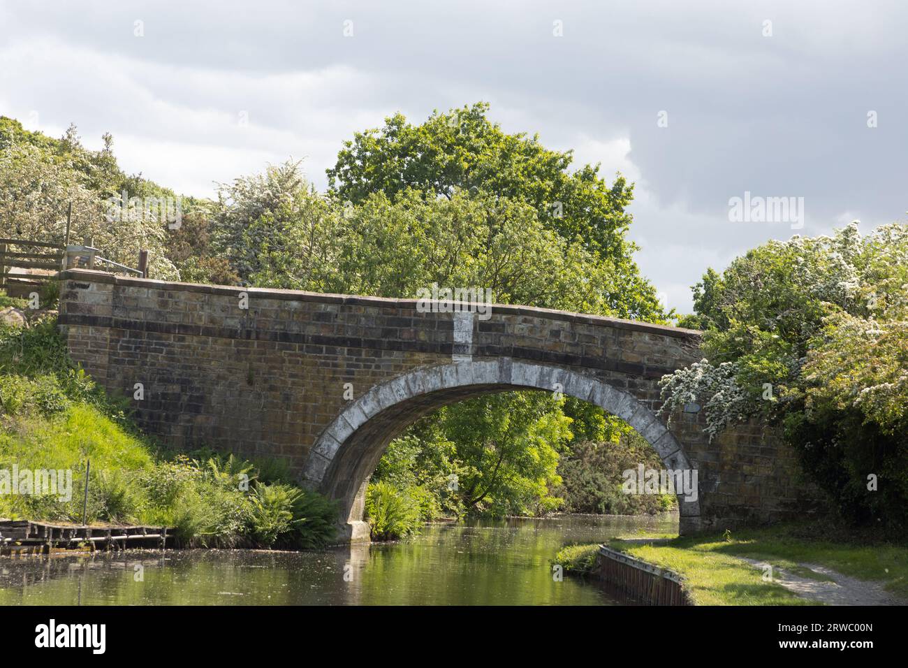 Il Leeds and Liverpool Canal vicino a Higher Wheelton vicino a Chorley Lancashire Inghilterra Foto Stock