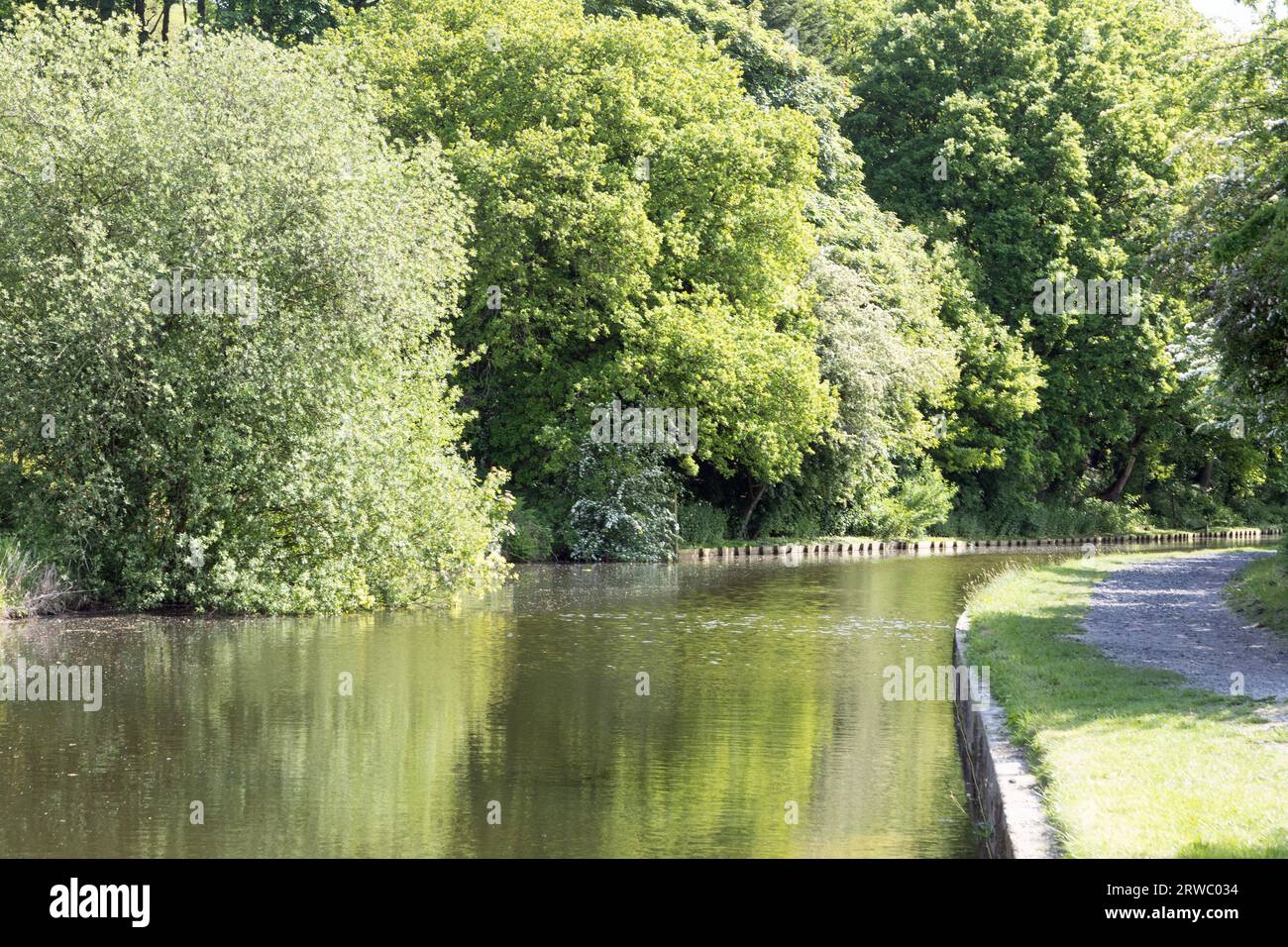 Il Leeds and Liverpool Canal vicino a Higher Wheelton vicino a Chorley Lancashire Inghilterra Foto Stock