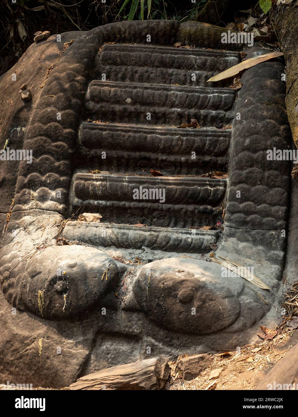 Antica bellezza . Scultura di Naga nel tempio Wat Phou, Laos Foto Stock