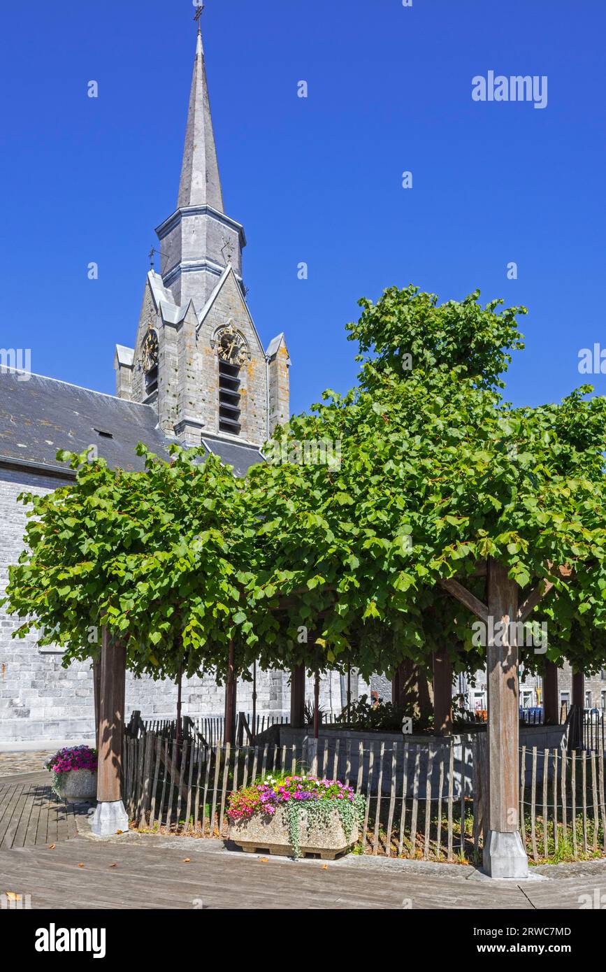 St La chiesa di Giovanni Battista e l'albero secolare di tiglio, piantato sulla piazza della chiesa nel 1714 nel villaggio di Macon, Momignies, Hainaut, Belgio Foto Stock