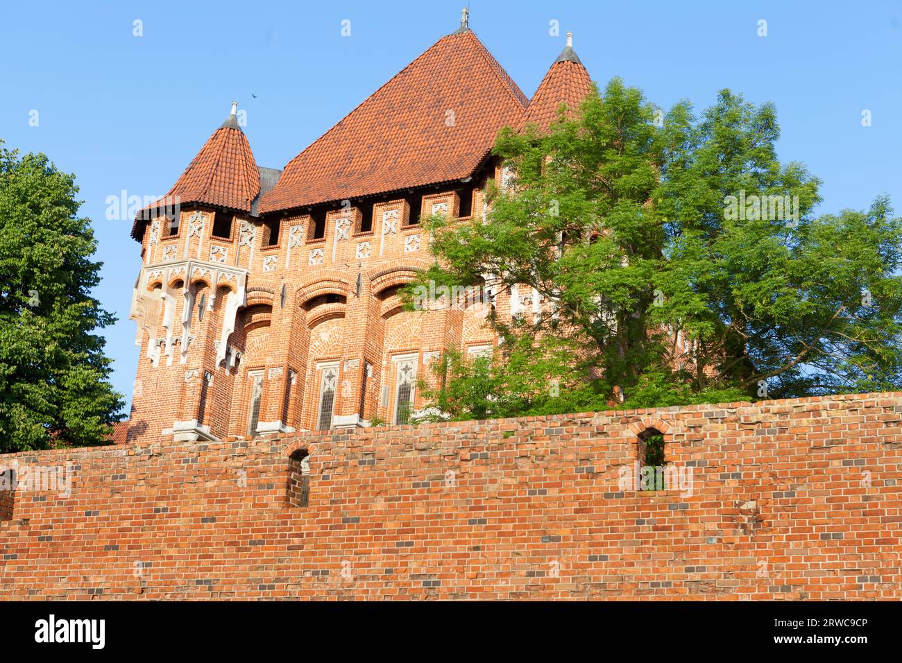 Il castello teutonico di Malbork, vista dal fiume Nogat. Foto Stock