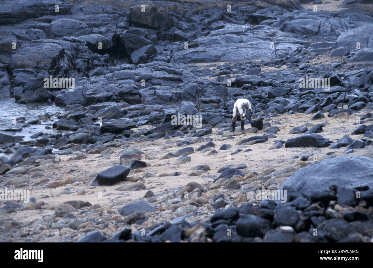 Pulizia volontaria della spiaggia di Muxia, la fuoriuscita di olio Prestige , Praia do Coido, Muxia, A Coruña, Galizia, Spagna Foto Stock