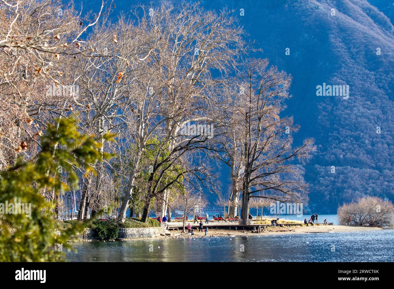 Lugano Svizzera, 21 gennaio 2023: Parco Ciani, nel centro di Lugano in una giornata di sole. Lago di Lugano, Svizzera. Foto Stock
