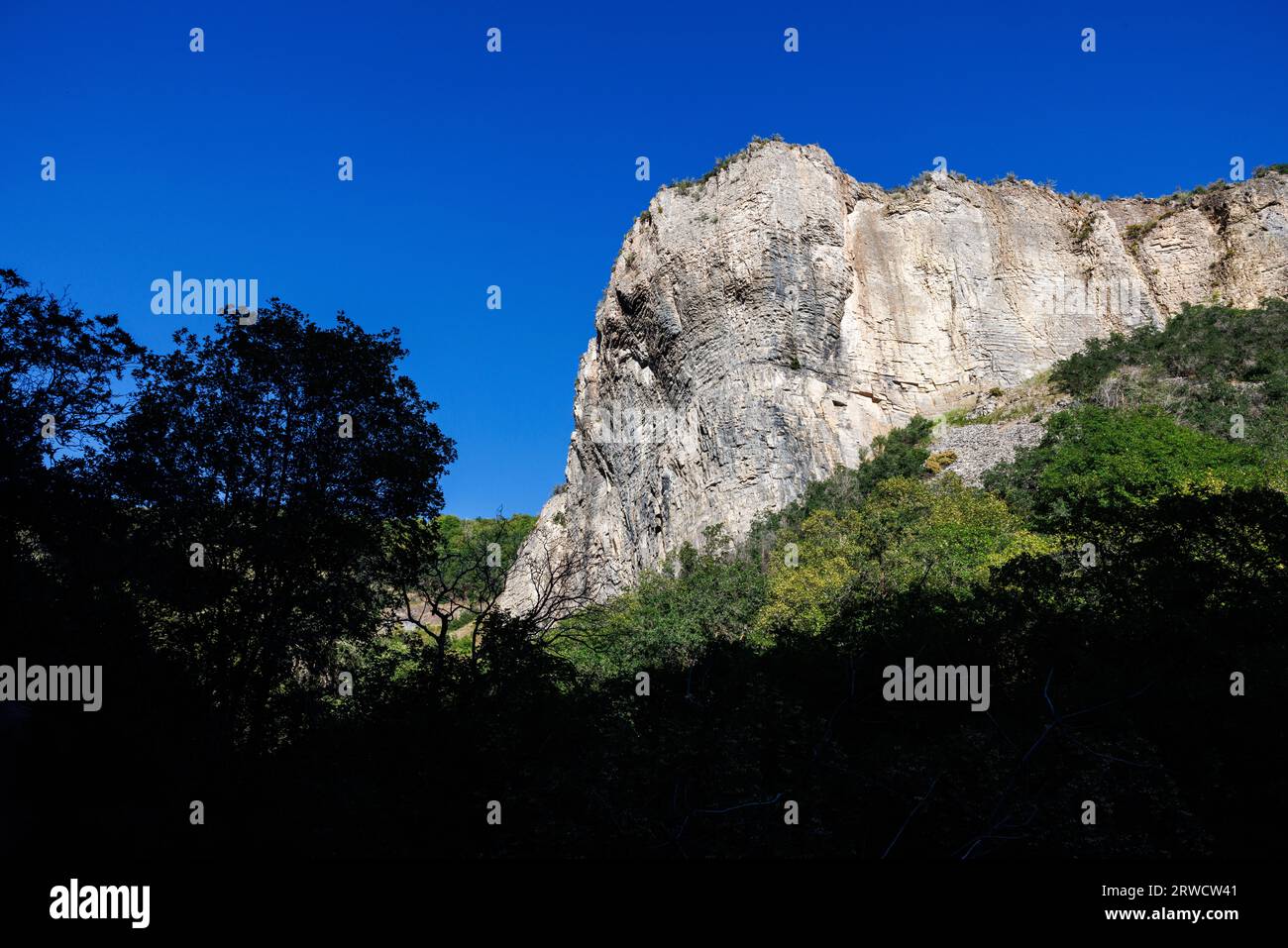 montagna di granito che cresce da alberi verdi Foto Stock