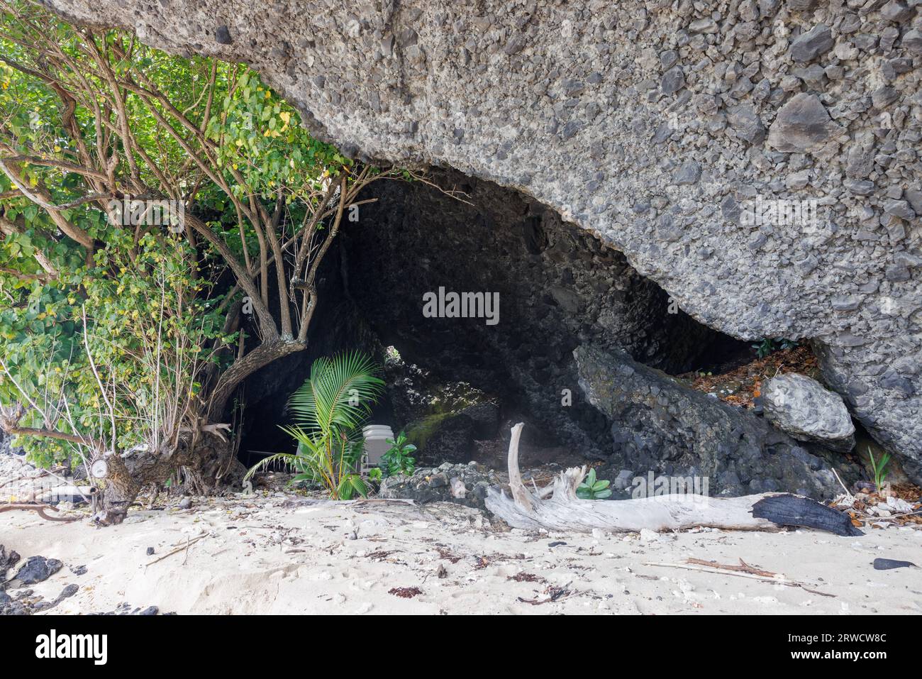 grotta di montagna con albero verde piccola isola di vomo fiji Foto Stock