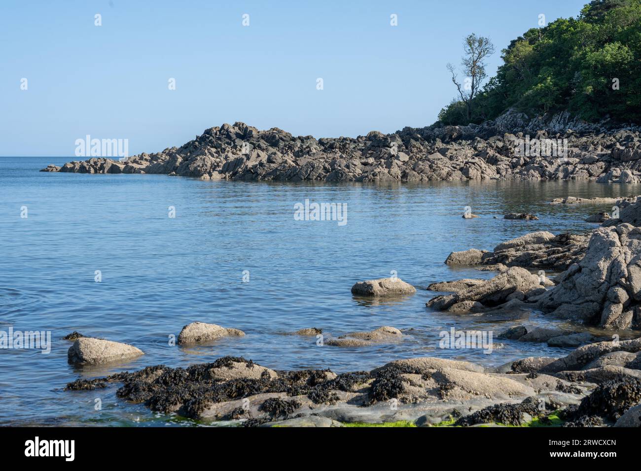 Costa di Solway vicino a Kirkudbright, Dumfries e Galloway, Scozia Foto Stock