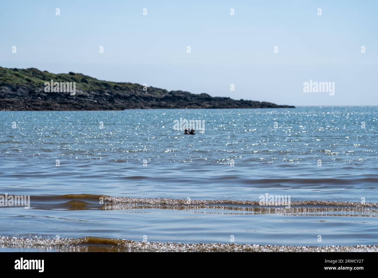 Costa di Solway vicino a Kirkudbright, Dumfries e Galloway, Scozia Foto Stock