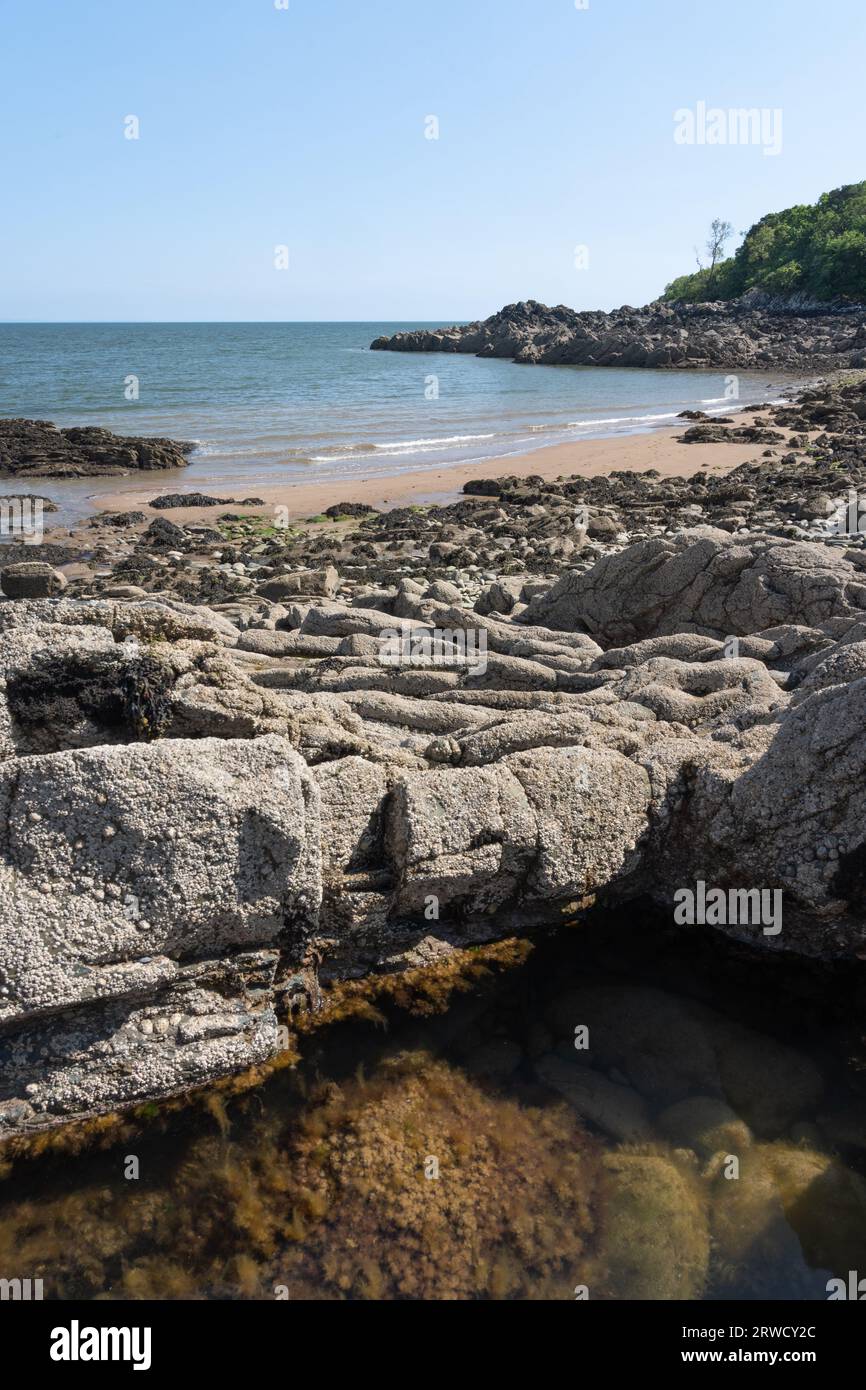 Costa di Solway vicino a Kirkudbright, Dumfries e Galloway, Scozia Foto Stock