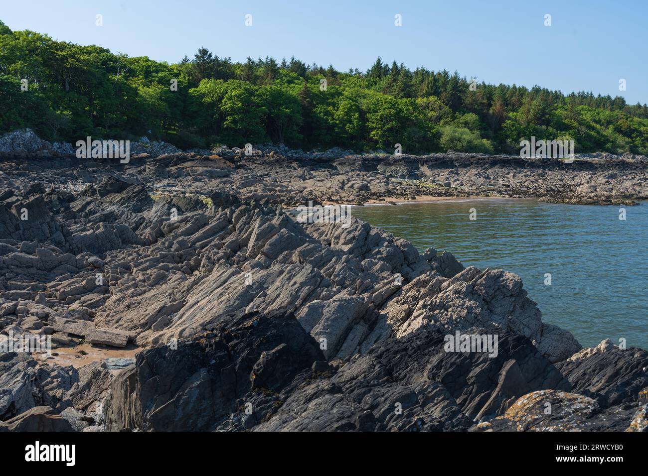 Costa di Solway vicino a Kirkudbright, Dumfries e Galloway, Scozia Foto Stock