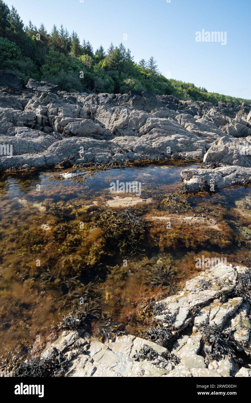 Costa di Solway vicino a Kirkudbright, Dumfries e Galloway, Scozia Foto Stock