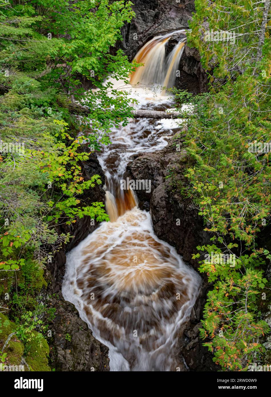 Una piscina sotto le cascate sul fiume Cascade vede fiorire dal flusso d'acqua, Cascade River State Park, Cook County, Minnesota Foto Stock