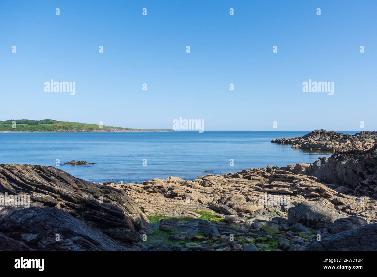 Costa di Solway vicino a Kirkudbright, Dumfries e Galloway, Scozia Foto Stock