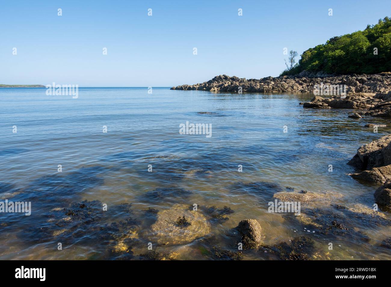 Costa di Solway vicino a Kirkudbright, Dumfries e Galloway, Scozia Foto Stock