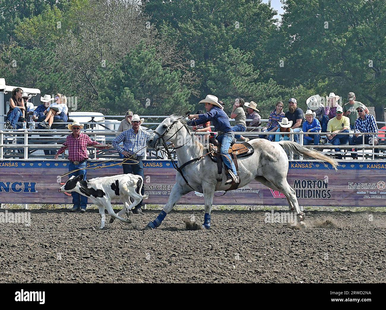 Emporia, Kansas, USA. 17 settembre 2023. Durante l'evento di rapina ai polpacci Bentley Smyth of Hutchinson lancia un perfetto lazo sulla testa del vitello a Emporia, Kansas, il 17 settembre 2023. Crediti: Mark Reinstein/Media Punch/Alamy Live News Foto Stock