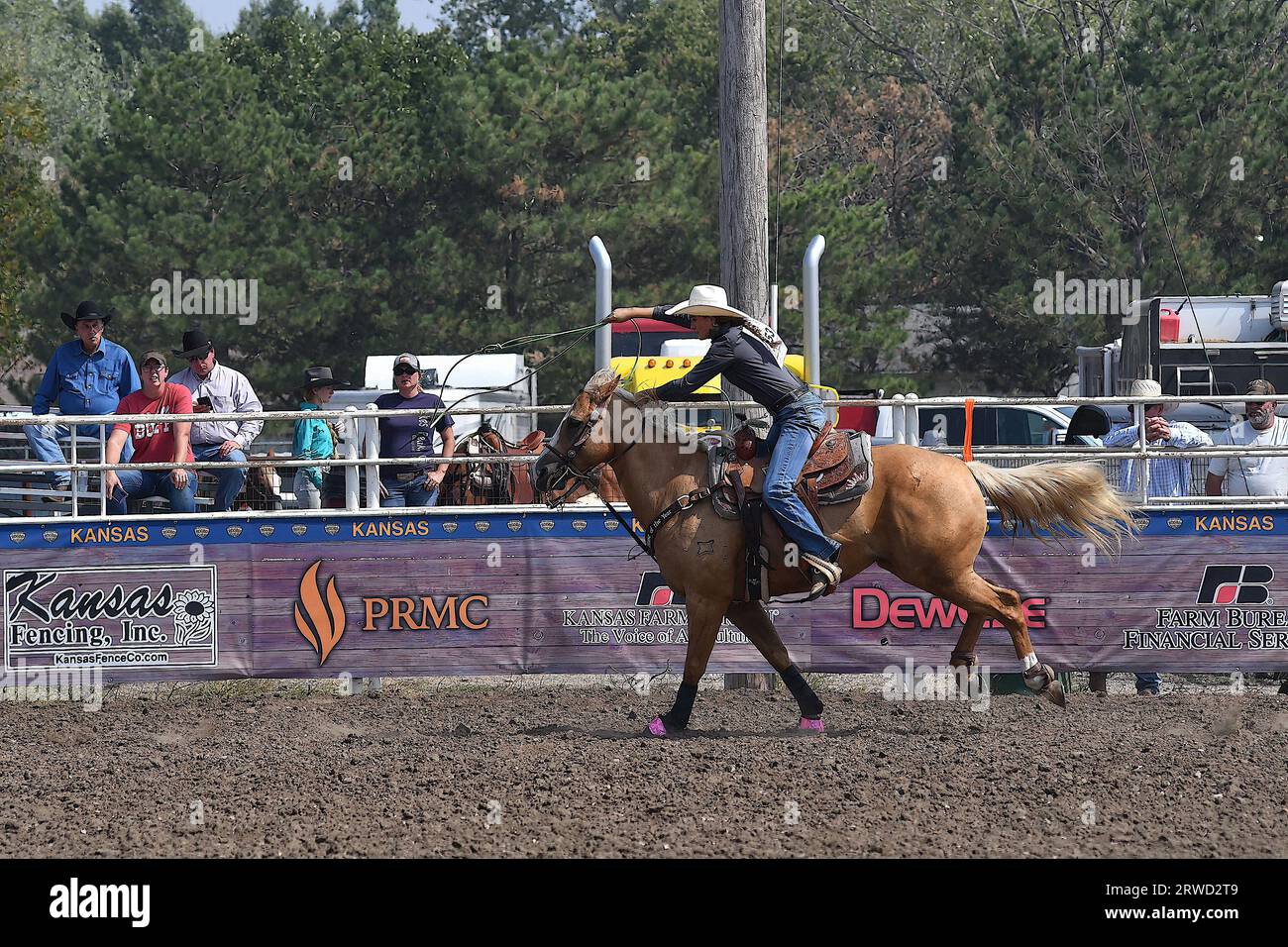 Emporia, Kansas, USA. 17 settembre 2023. Durante l'evento di rapina breakaway Shylar Whiting di Paola viene vista a cavallo mentre gira il suo lazo mentre insegue il vitello giù nell'arena di Emporia, Kansas, il 17 settembre 2023. Crediti: Mark Reinstein/Media Punch/Alamy Live News Foto Stock