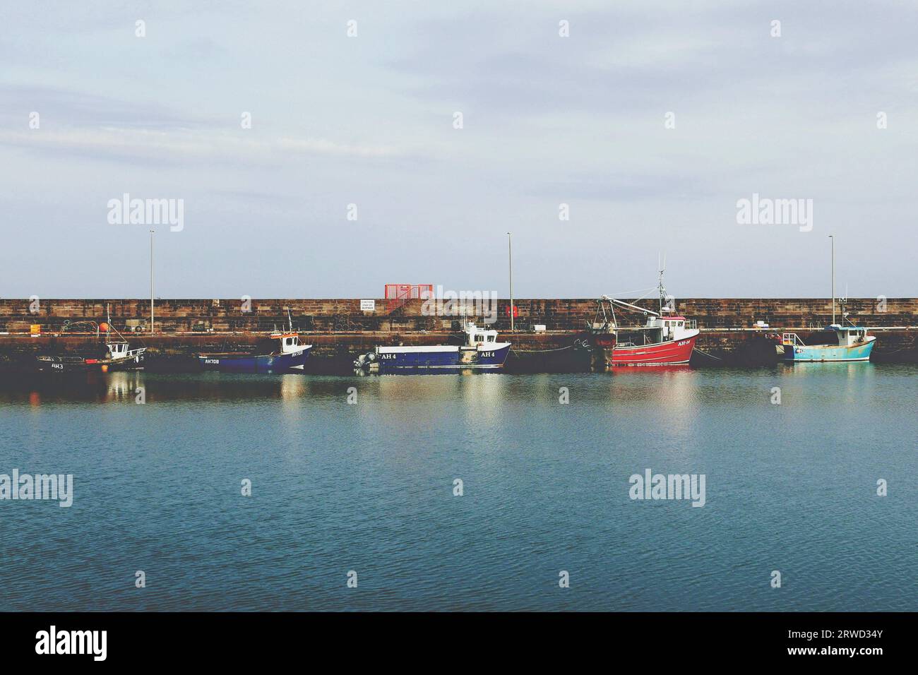 Coloratissime barche da pesca attraccate al porto di Arbroath in Scozia. Foto Stock