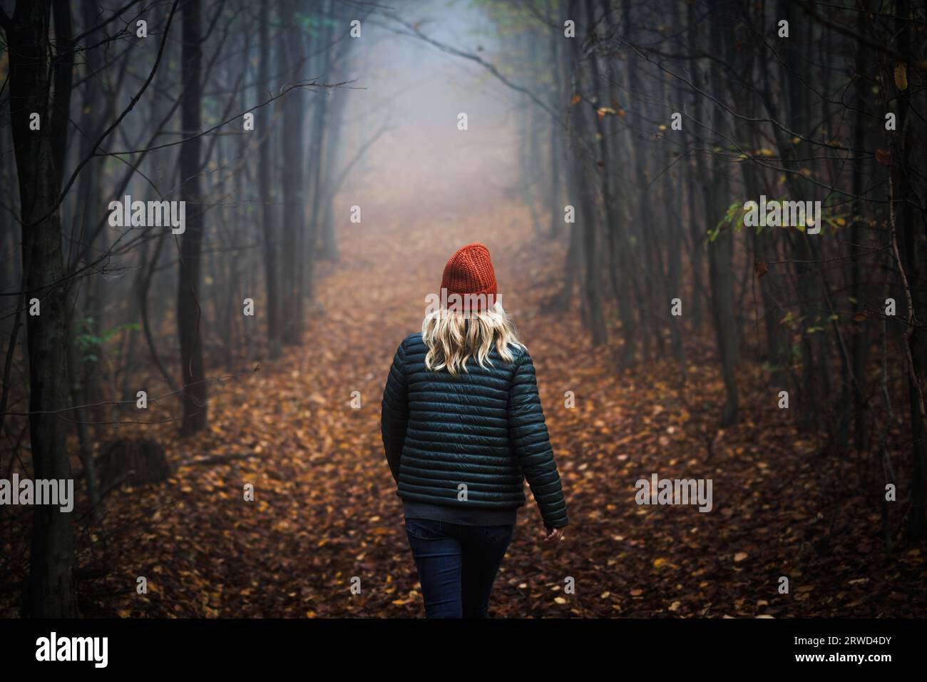Donna solitaria che cammina su un sentiero nella foresta nebbiosa e scura. Atmosfera spettrale nei boschi autunnali Foto Stock