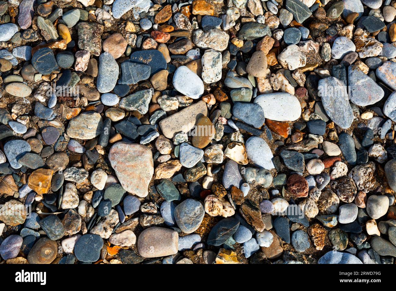Pebbles su una spiaggia in Cornovaglia, Inghilterra, Regno Unito Foto Stock