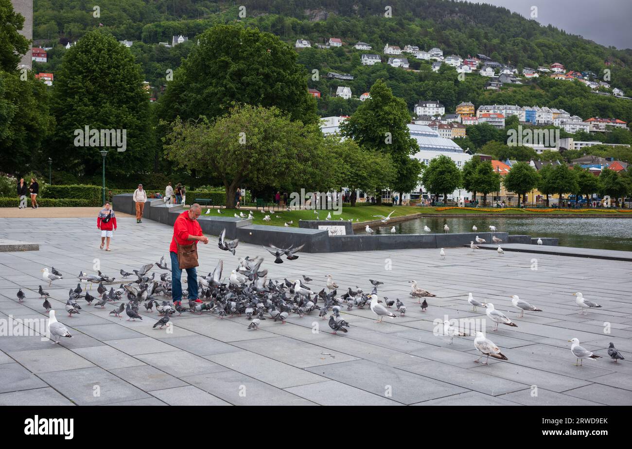 Bergen, Norvegia - 29 giugno 2023: Un uomo che indossa un cappotto rosso nutre gli uccelli a Festplassen, una piazza ricreativa che si affaccia sul lago centrale di Bergen e sulla fount Foto Stock