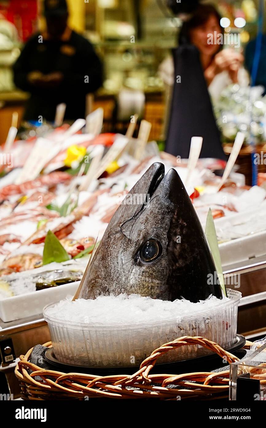 Testa di tonno maguro Foto Stock