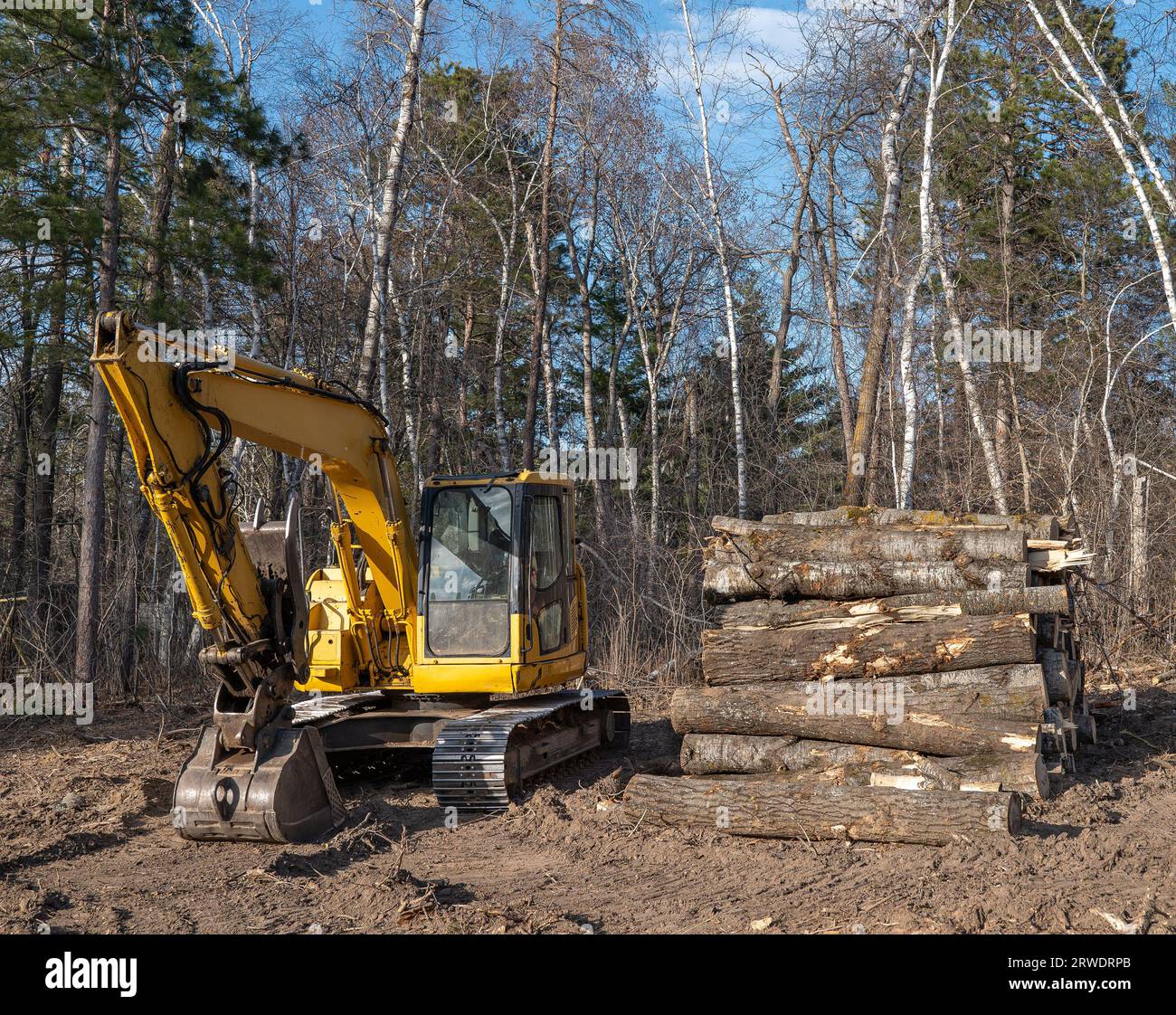 Un cumulo di tronchi di legno si trova accanto a un escavatore giallo per impieghi pesanti in un nuovo cantiere edile. Foto Stock